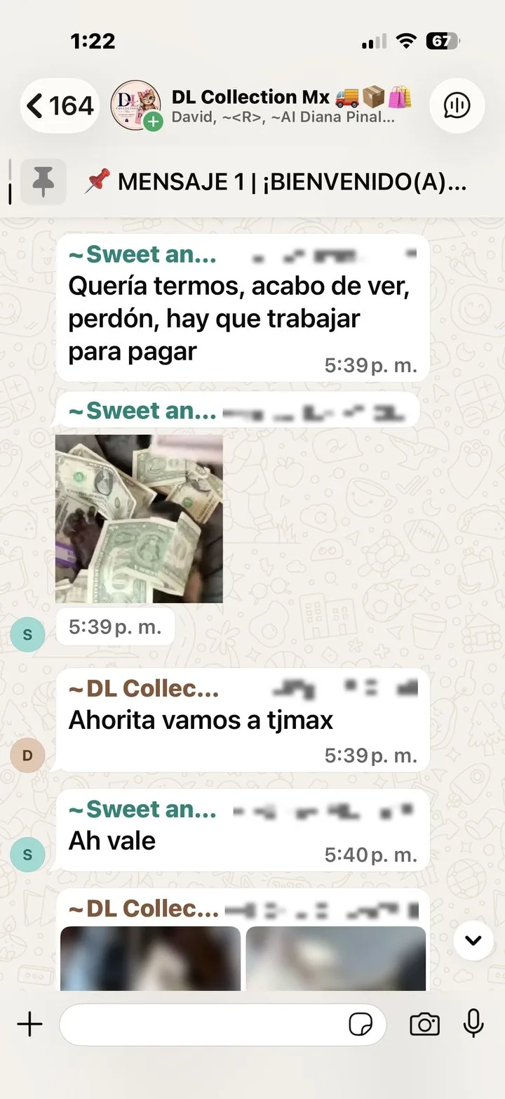 Captura real del grupo de WhatsApp de DL Collection Mx con productos y hallazgos de USA