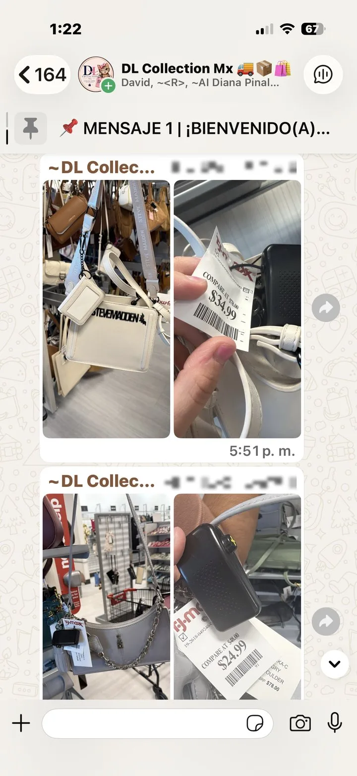 Captura real del grupo de WhatsApp de DL Collection Mx: bolsas Steve Madden encontradas en tiendas de USA