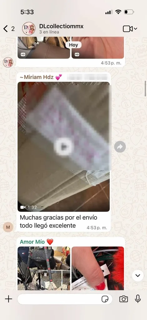 Reseña real de WhatsApp: pedido entregado en Monterrey por DL Collection Mx